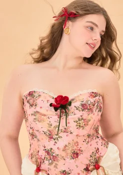 Curve & Plus Rose Sous La Lune Corset Dress