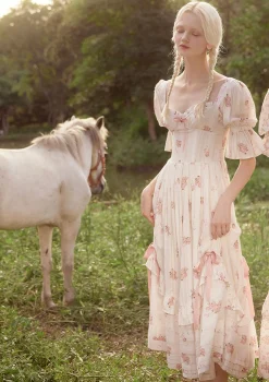 Rose's Smile Corset Dress Ⅱ