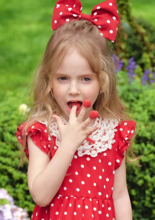 Toddler Girl Nini Fairy Tale House Dress