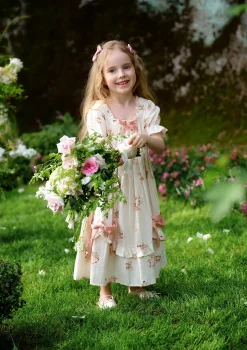 Toddler Girl Rose's Smile Dress